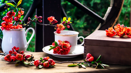 Similar image 21084178