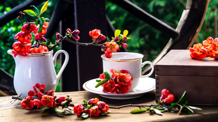 Similar image 21082247