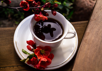 Similar image 21082249