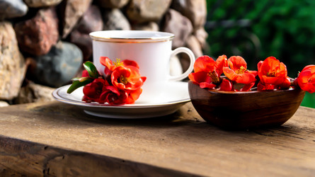 Similar image 21082251