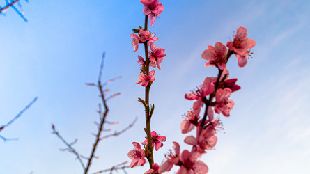 Similar image 21082255