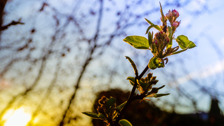 Similar image 21082257