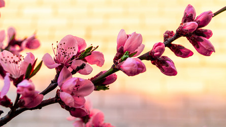 Similar image 21082260