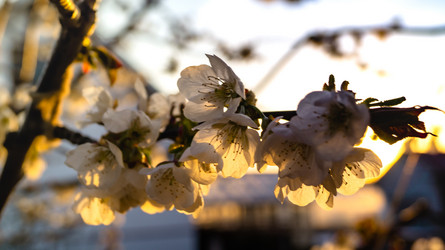 Similar image 21082262