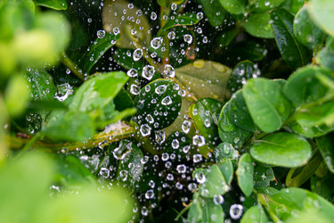 Similar image 21082263