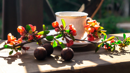 Similar image 21082265