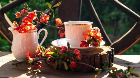 Similar image 21082266