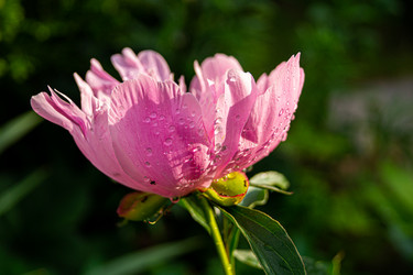 Similar image 21082267