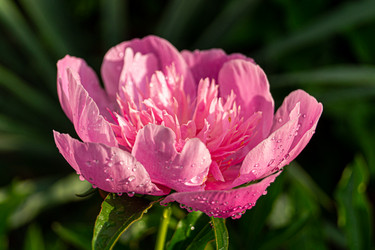 Similar image 21082268