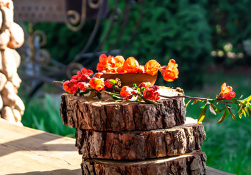 Similar image 21084179