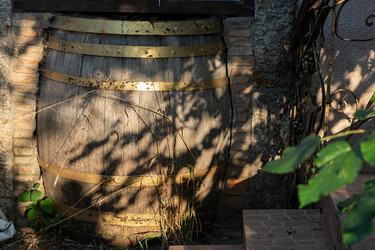 Similar image 21081077