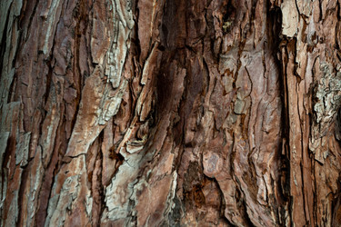 Similar image 21081079