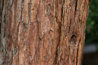 Similar image 21081081