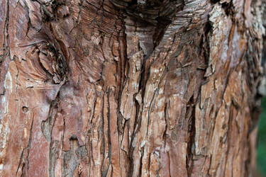 Similar image 21081082