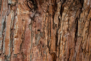 Similar image 21081083