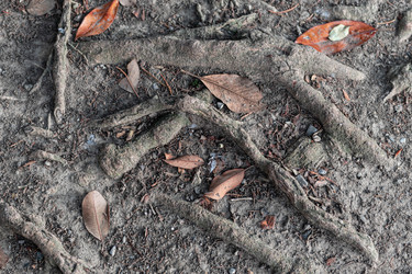 Similar image 21081084