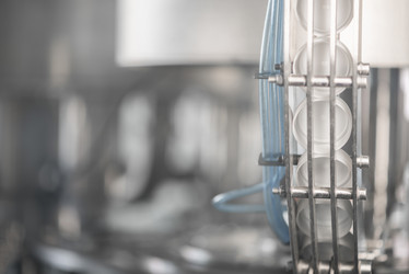 Similar image 21118013