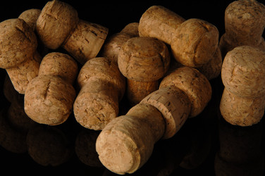 Similar image 21117855