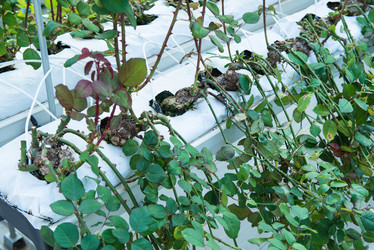 Similar image 21117858