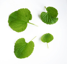 Similar image 21111353