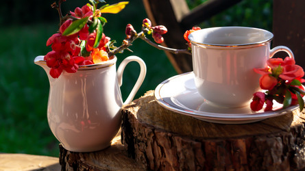 Similar image 21082269