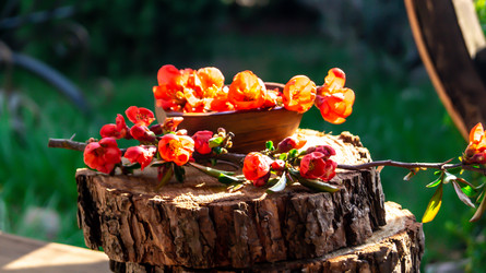 Similar image 21084535