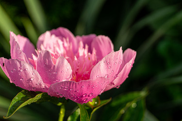 Similar image 21082270