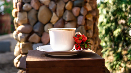 Similar image 21082271