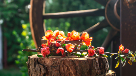 Similar image 21084536