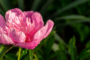 Similar image 21082273