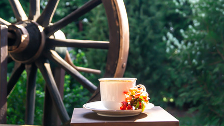 Similar image 21082274