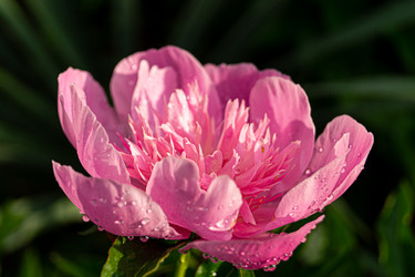 Similar image 21082276