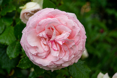 Similar image 21084537