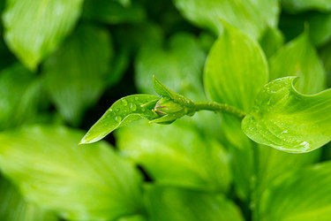 Similar image 21082277