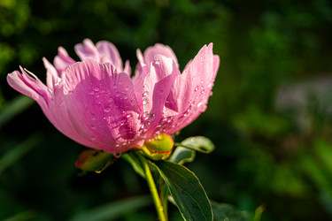 Similar image 21082279