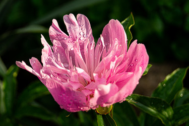 Similar image 21082280