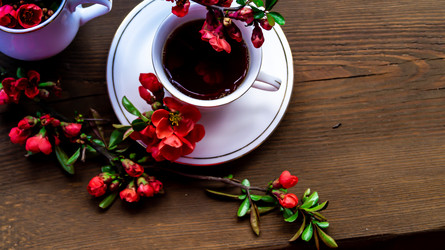 Similar image 21082282