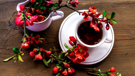 Similar image 21082283