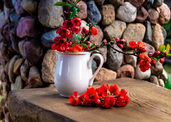 Similar image 21082284