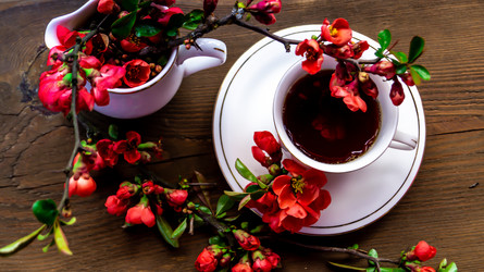 Similar image 21082285