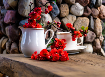 Similar image 21082292