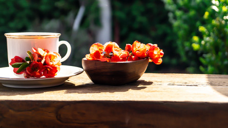 Similar image 21082467