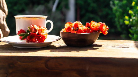 Similar image 21082468