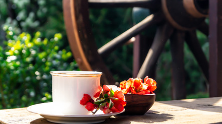 Similar image 21082470