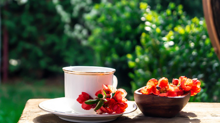 Similar image 21082472