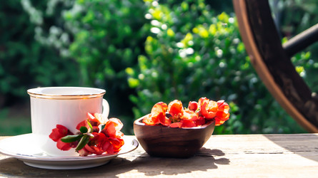 Similar image 21082473