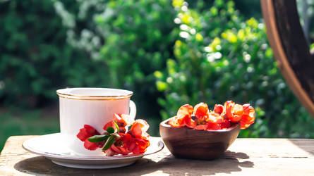 Similar image 21082474