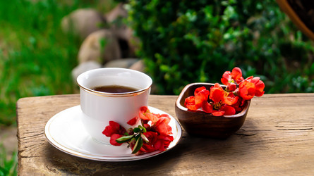 Similar image 21082475