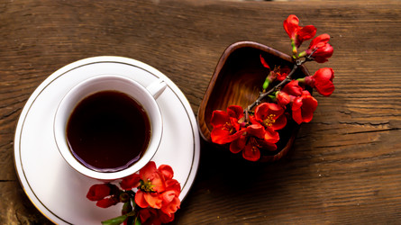 Similar image 21082476