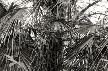 Similar image 21081405